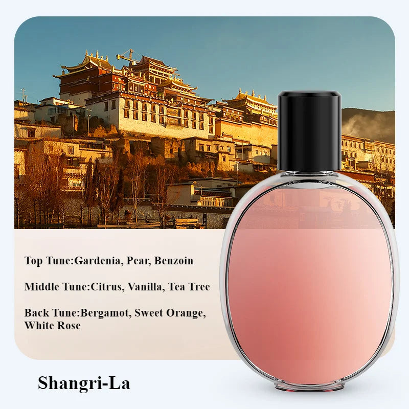 ZAOXI Ultrasonic Nano Diffuser – Quiet, Long-Lasting Home Fragrance